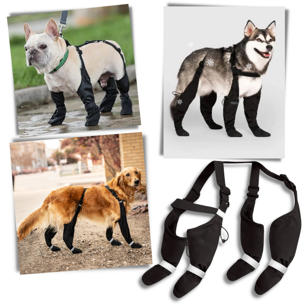 Waterproof Dog Suspenders Boots - Ozerty