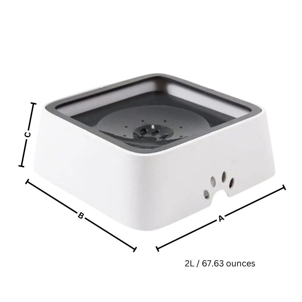 Splash-Free Water Bowl For Dogs - Ozerty